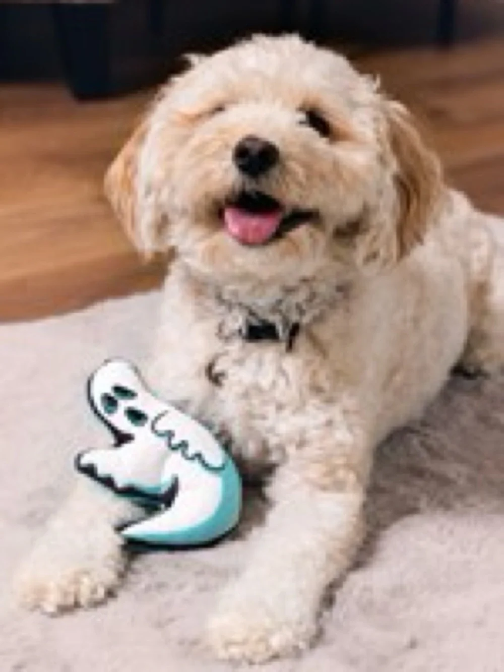 👻 NWT Made By Us Exclusive Halloween Ghost Squeaky Dog Toy 👻